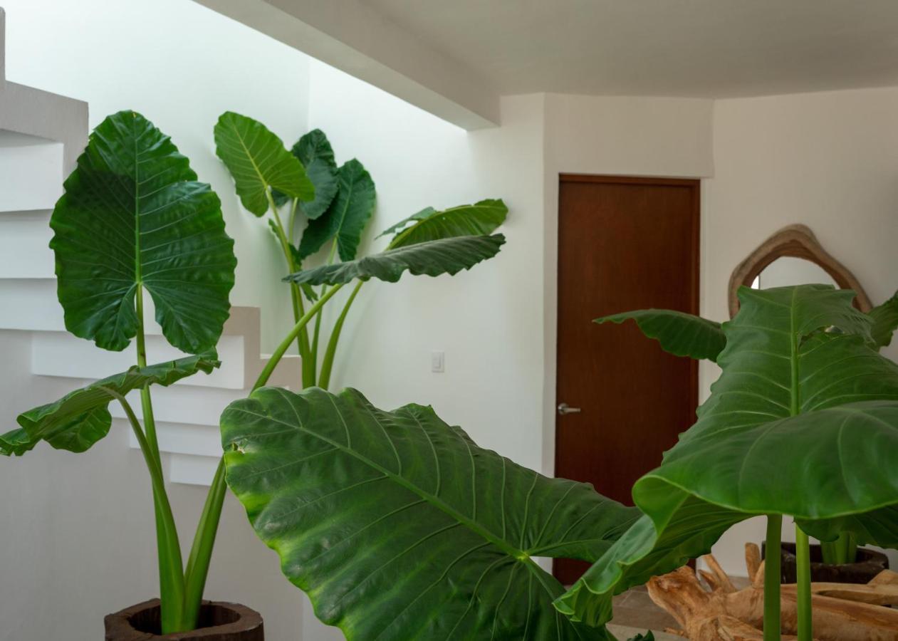 Apartamento Recámara 1 Nachi Cocom Cancún Exterior foto